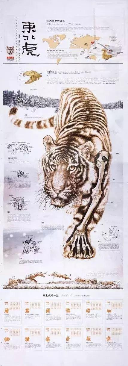 It's so beautiful! Several young people "scribbled" in the China Journal and won an Oscar in the press!